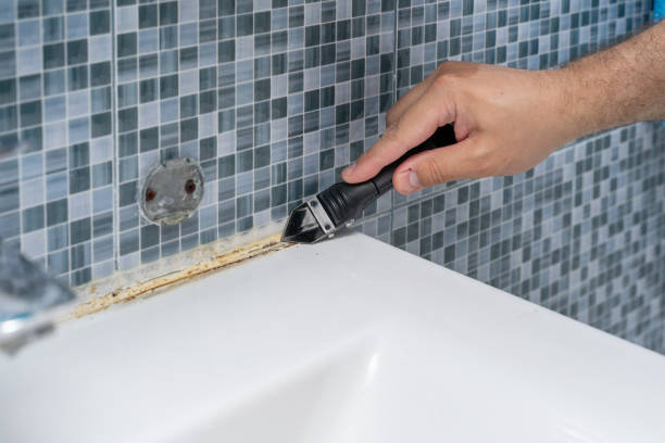 Reliable Linden, TX Mold Remediation Solutions